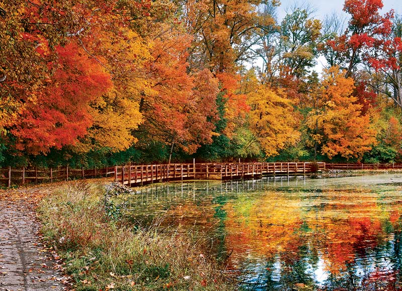 Sharon Woods - Ohio 1000-Piece Puzzle