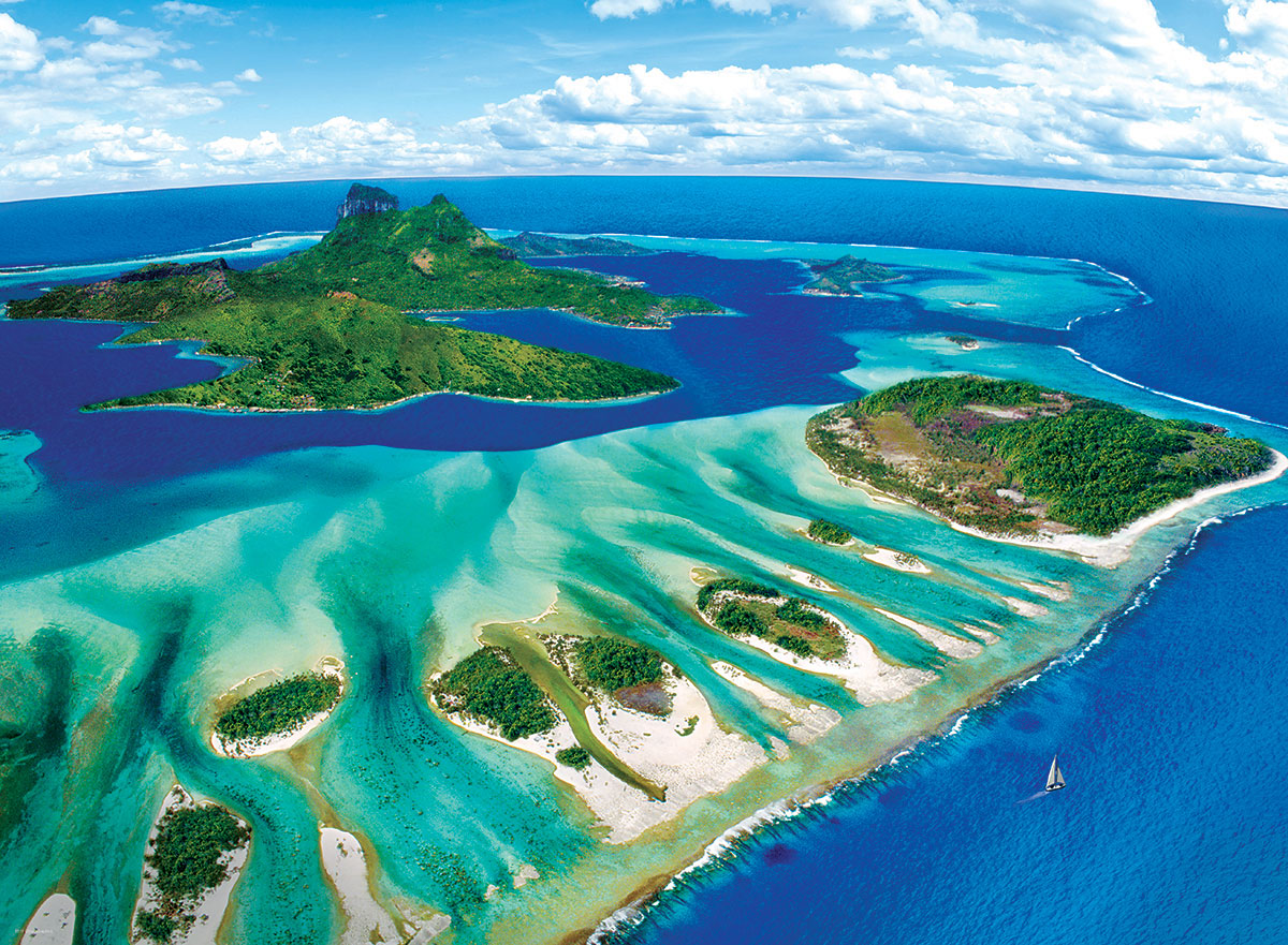 Coral Reef 1000-Piece Puzzle