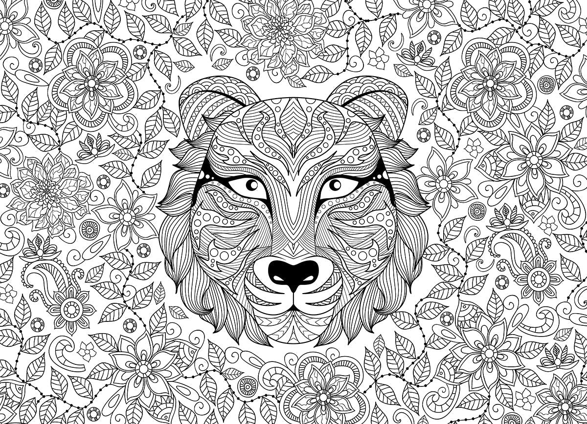 Puzzle Tigre Color-Me 500 pièces