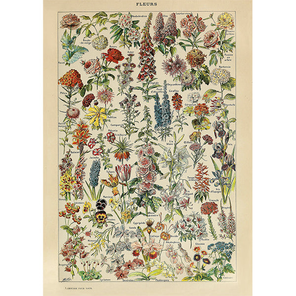 Fleurs 1000-Piece Puzzle